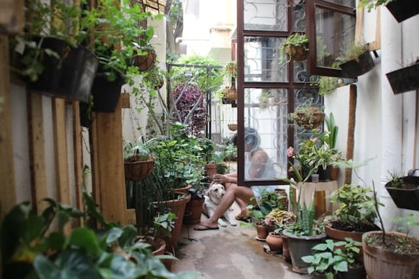 Comment aménager une zone de compostage dans un très petit jardin?