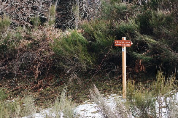 Quels sont les meilleurs matériaux pour créer un chemin de jardin respirant et sans mauvaises herbes ?